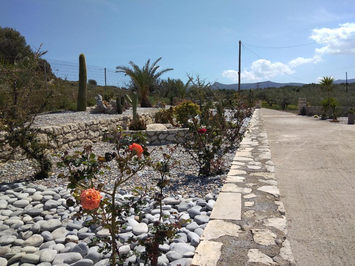 Kouremenos Manolis Apartment Palekastro